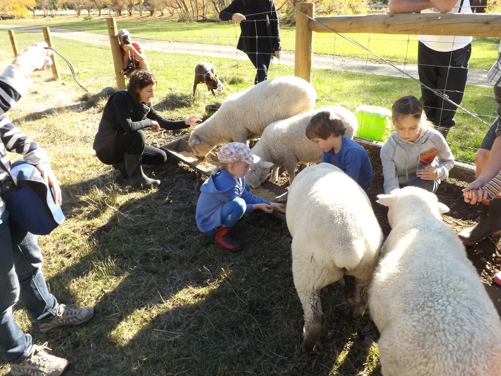 Hawarden Karetu Downs Farm Stay מראה חיצוני תמונה