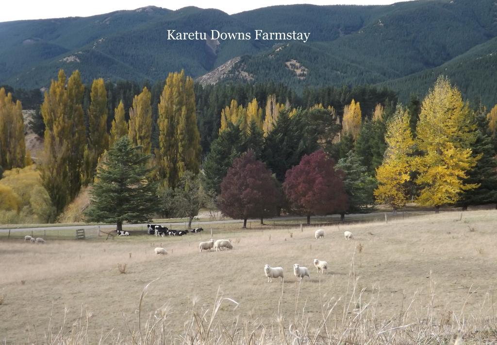 Hawarden Karetu Downs Farm Stay מראה חיצוני תמונה